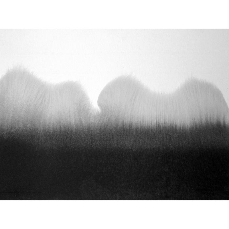 Big Ink Painting Mural Wallpaper Minimalism Abstract Wall Art in Black and White