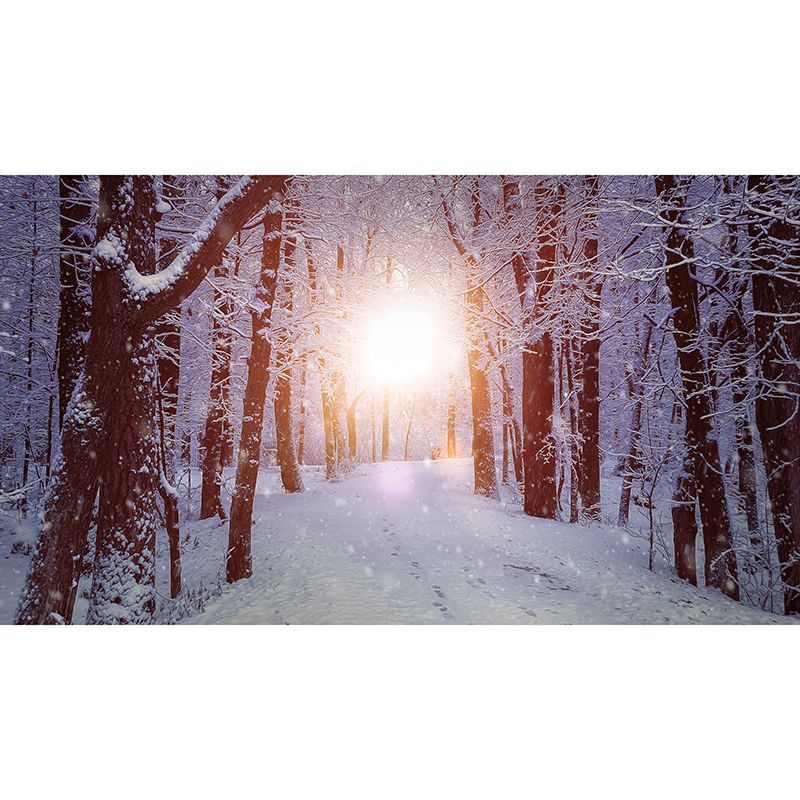 Washable Stain Resistant Mural Wallpaper Forest Indoor Wall Mural