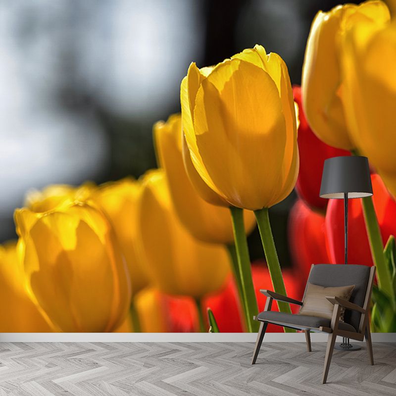 Tulip Flower Mural Wallpaper Minimalist Wall Decor, Customized Size Available