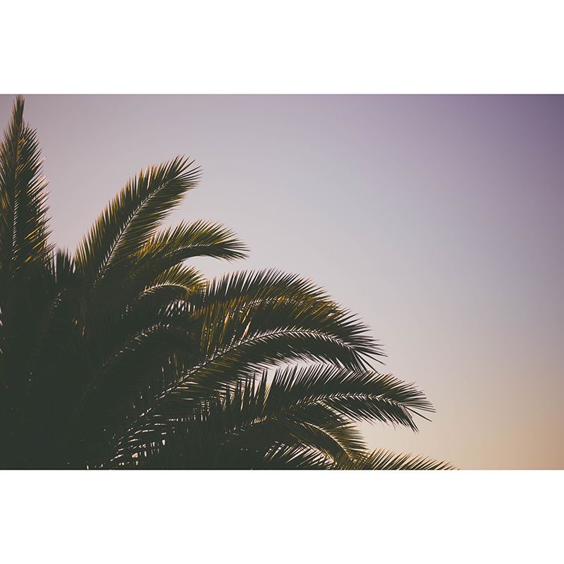 Tropical Plants Stain Resistant Wall Mural Washable Wallpaper Sitting Room Wall Mural