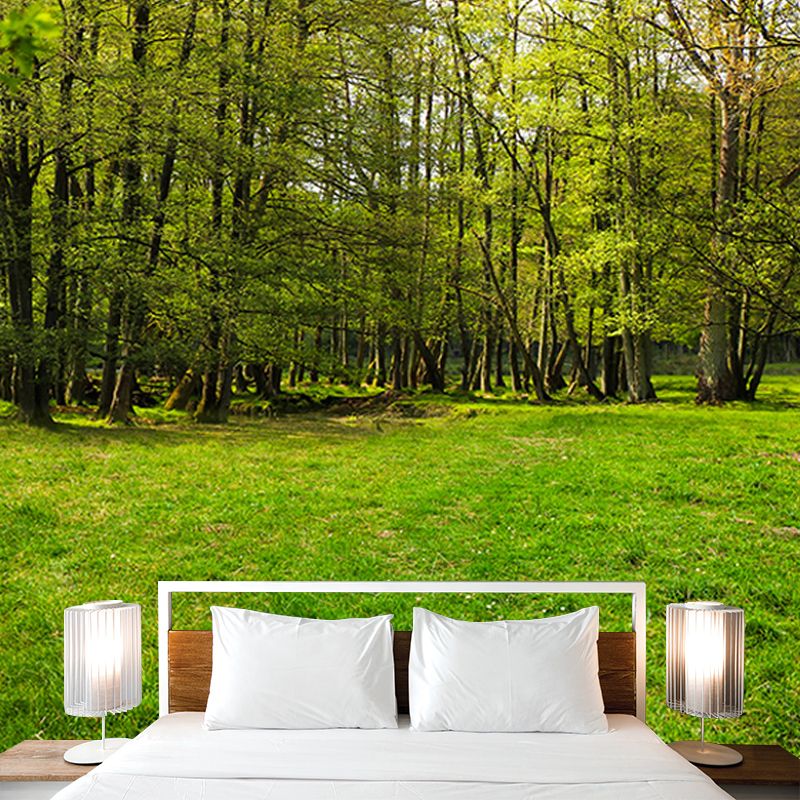 Forest Customized Mural Wallpaper Contemporary for Living Room Bedroom Decor
