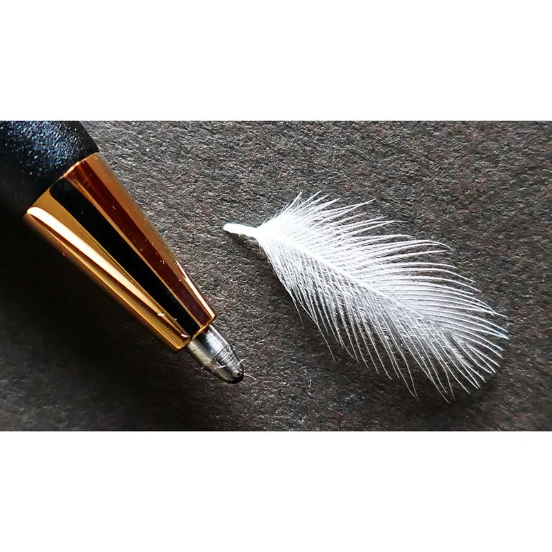 Light Bird Feather Wall Mural Modern Style Mildew Resistant for Wall Decor