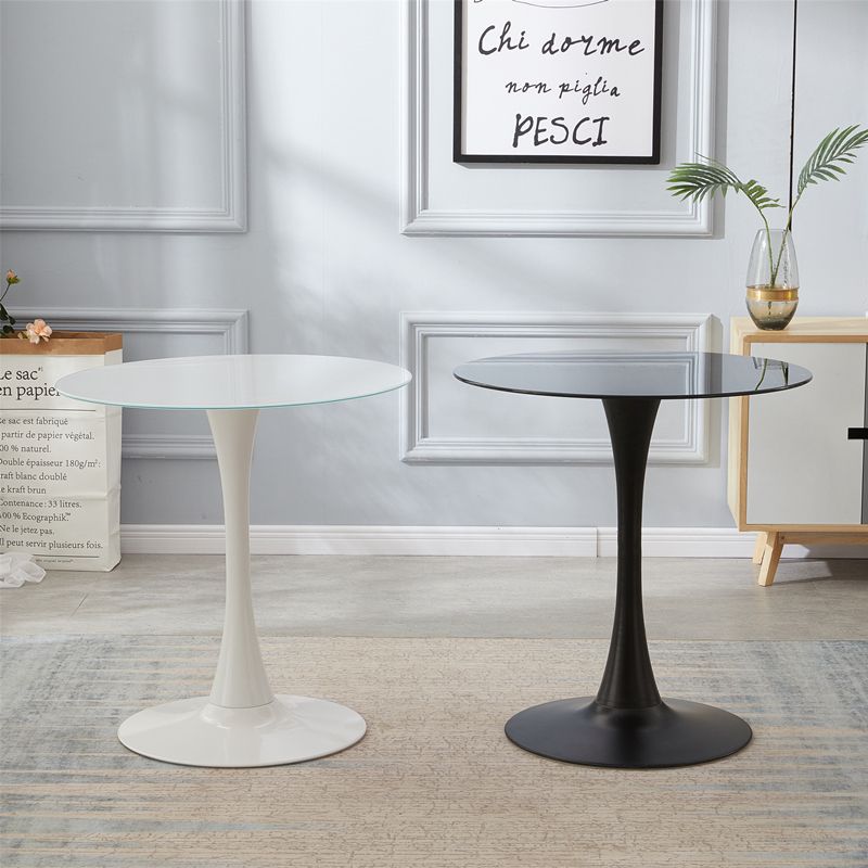 Metal Contemporary Round Dining Table Tulip Base Table for Dining Room and Kitchen