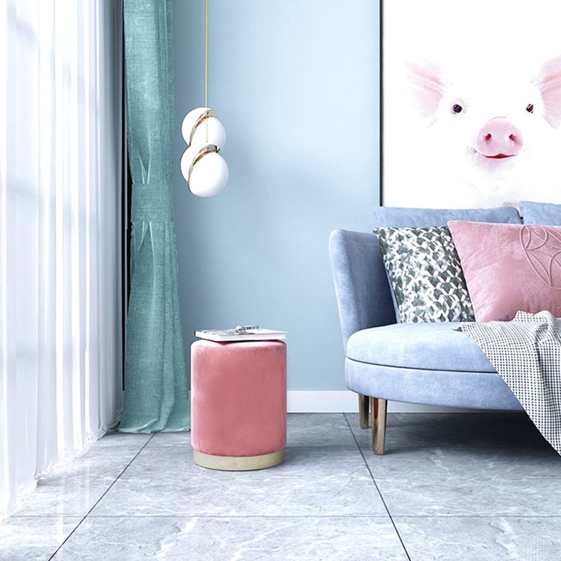 Modern Scratch Resistant Standard Round Velvet Indoor Standard