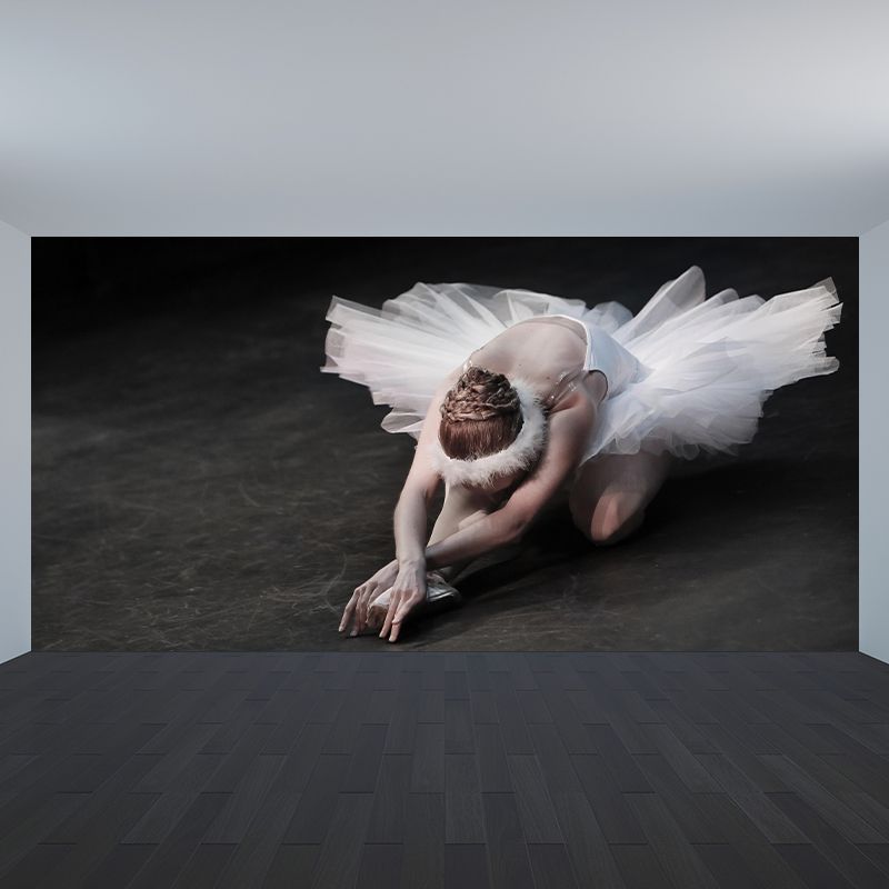 Artistry Wall Covering Mural Large Ballet Girls Pattern Wall Art for Bedroom