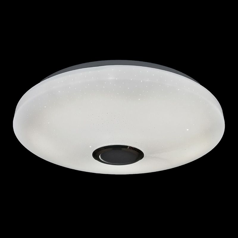 Ceiling Light Fixture Phone Control Light Bluetooth LED Light Living Room Light Indoor Light