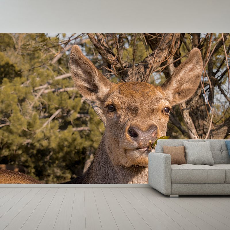 Deer Murals Moisture Resistant Classical Hallway Wall Decoration, Personalised Size