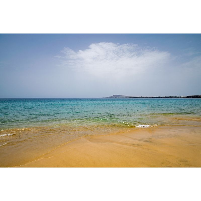 Photo of Tropical Beach Mural Stain Resistant Wall Art for Dining Room