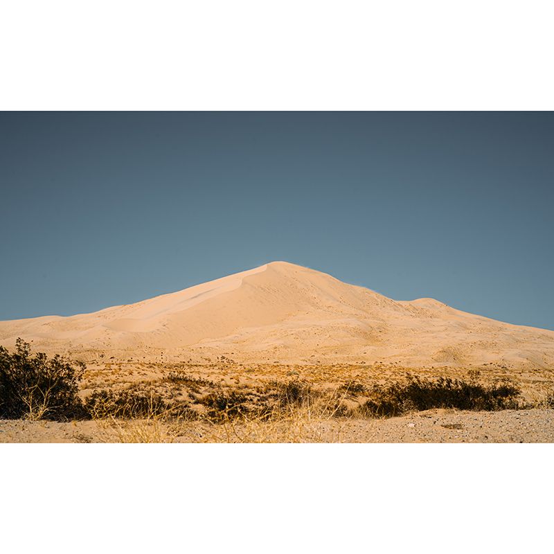 Dry Desert Murals for Living Room Bedroom Decoration, Personalized Size Available