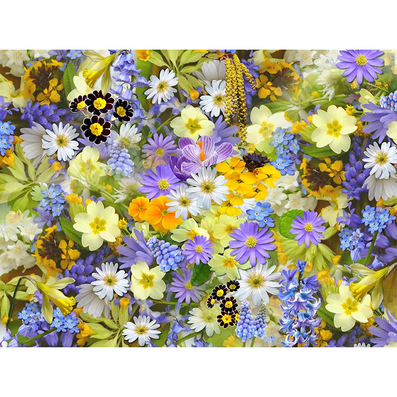 Eco-friendly Wall Mural Wallpaper Daisy Photography Sitting Room Wall Mural