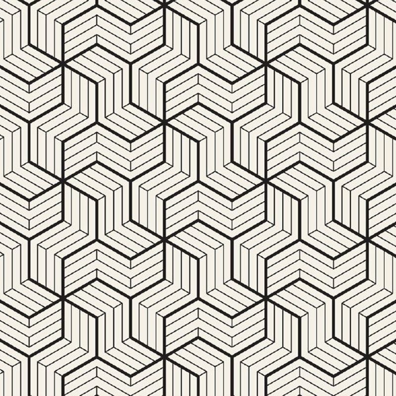 Matrix Wall Paper Murals Black-White Contemporary Wall Art for Bedroom, Customized Size