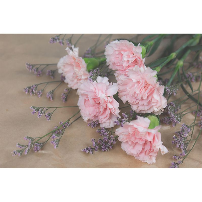 Photography Carnation Blossing Mural Wallpaper Modern Wall Covering for Living Room