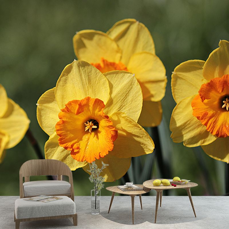 Blossom Stain Resistant Photography Wall Mural Living Room Wallpaper