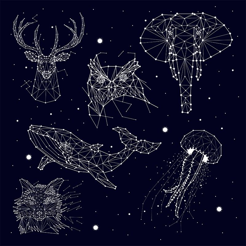 Starry Night Mural Decal Contemporary Non-Woven Textured Wall Covering in Dark Color