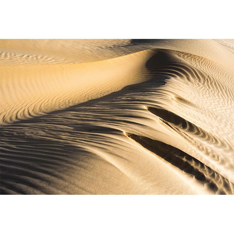 Photography Desert Mural Mildew Resistant Wallpaper for Fireplace