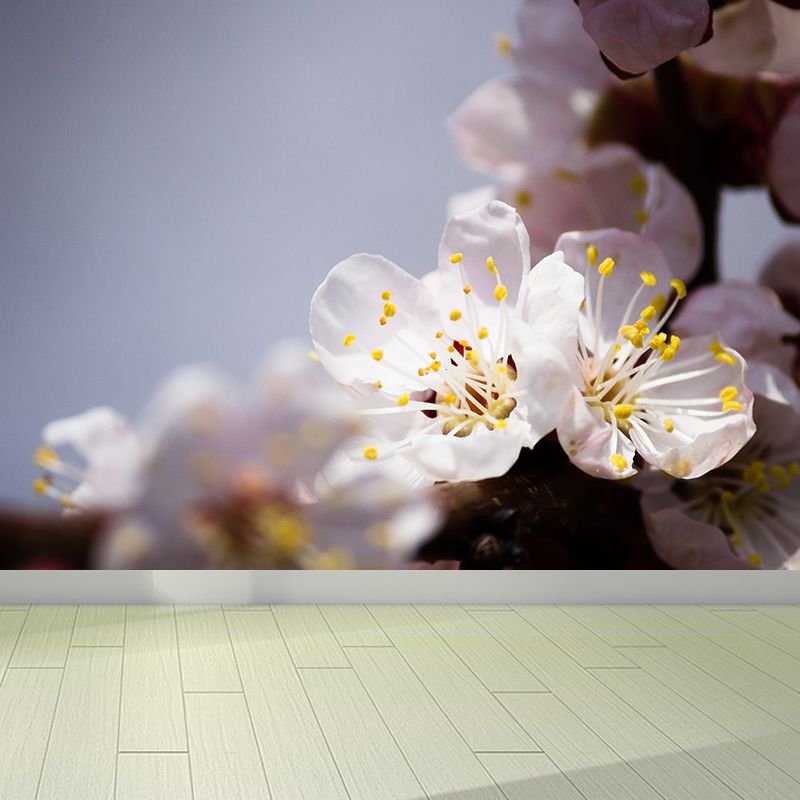 White Cherry Blossom Mural Wallpaper Moisture Resistant Wall Covering for Adults Room