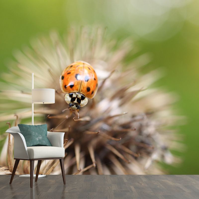 Ladybug Animal Wallpaper Mural Contemporary Style Wall Art for Living Room