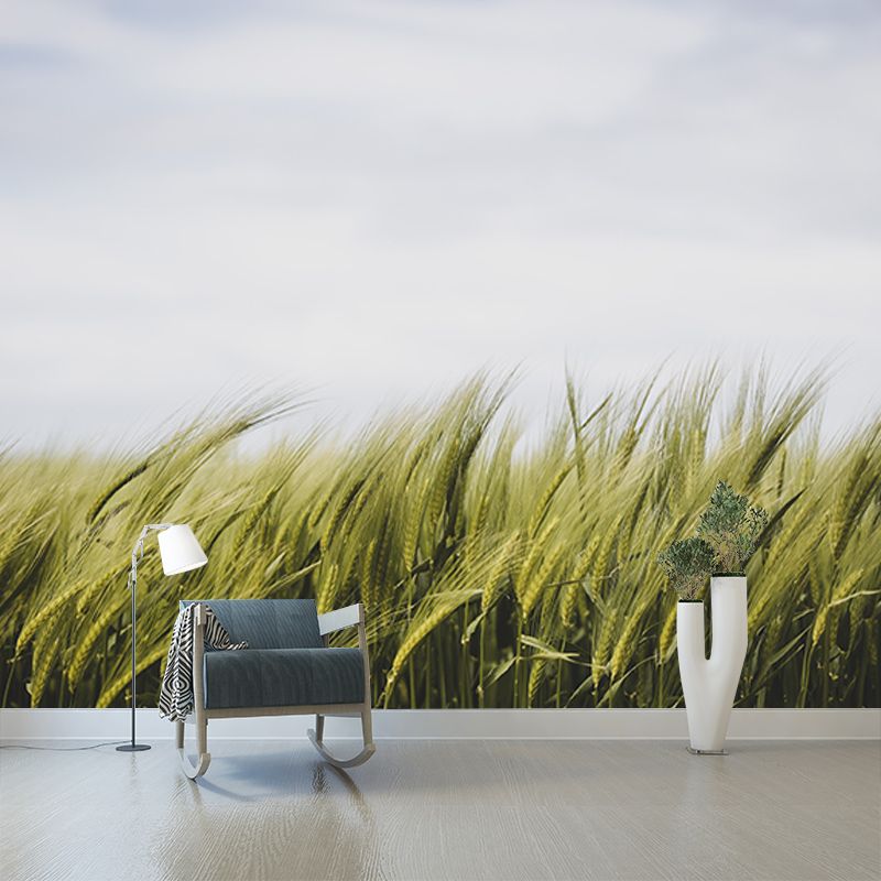 Beautiful Photography Mural Wallpaper Wheat Field Indoor Wall Mural