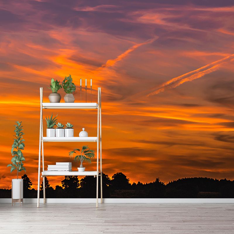 Customized Modern Sky Wall Mural Moisture Resistant Wall Covering for Home