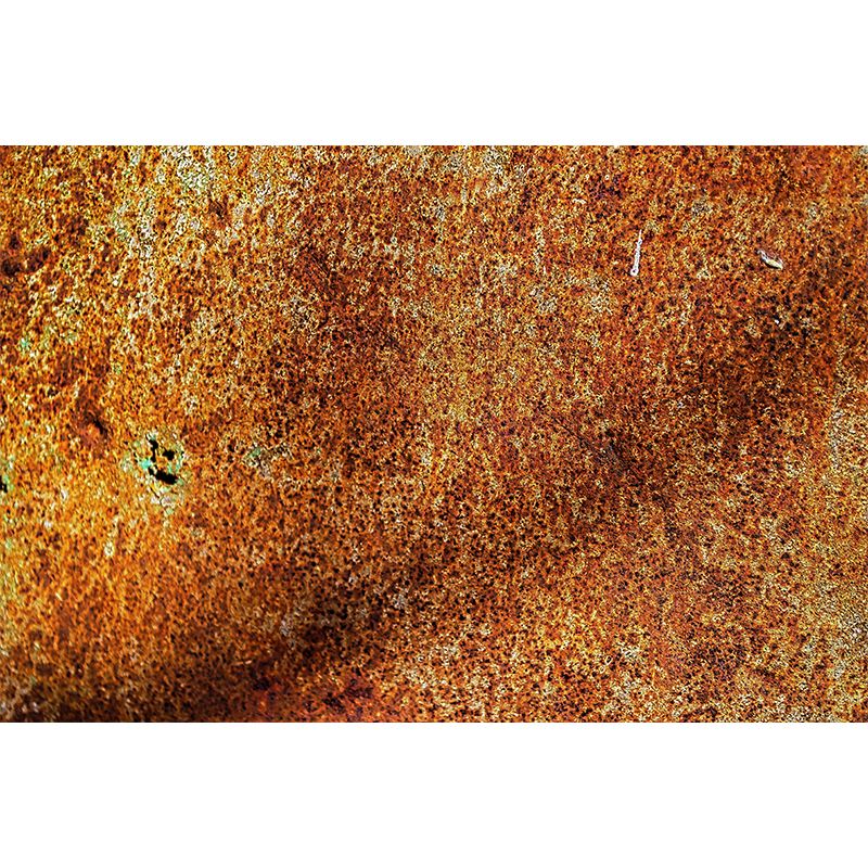 Rusty Mural Wallpaper Moisture Resistant Home Decor for Sitting Room, Made to Measure