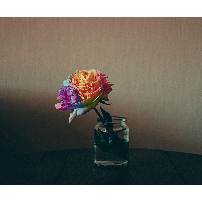 Beautiful Flower Wall Murals Environment Friendly Decorative Room Wall Murals