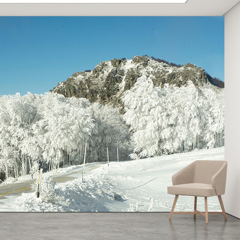 Contemporary Photography Eco-friendly Forest Mural Living Room Wall Mural