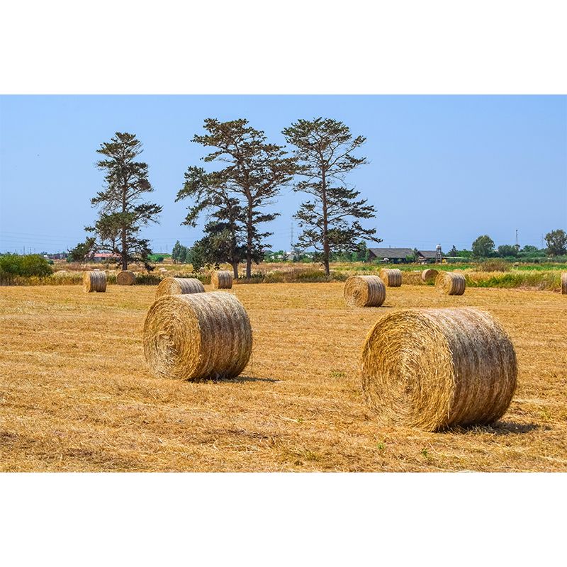 Customized Straw Bale Mural Environment Friendly for Sleeping Room Bedroom