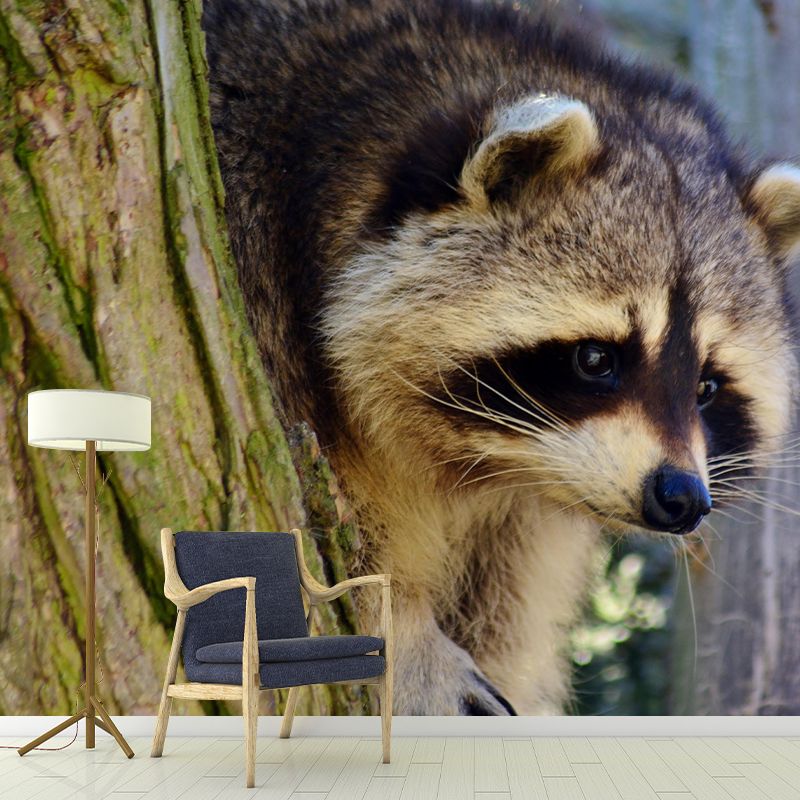 Lovely Raccoon Wall Mural Wallpaper Mildew Resistant Wall Covering for Decoration