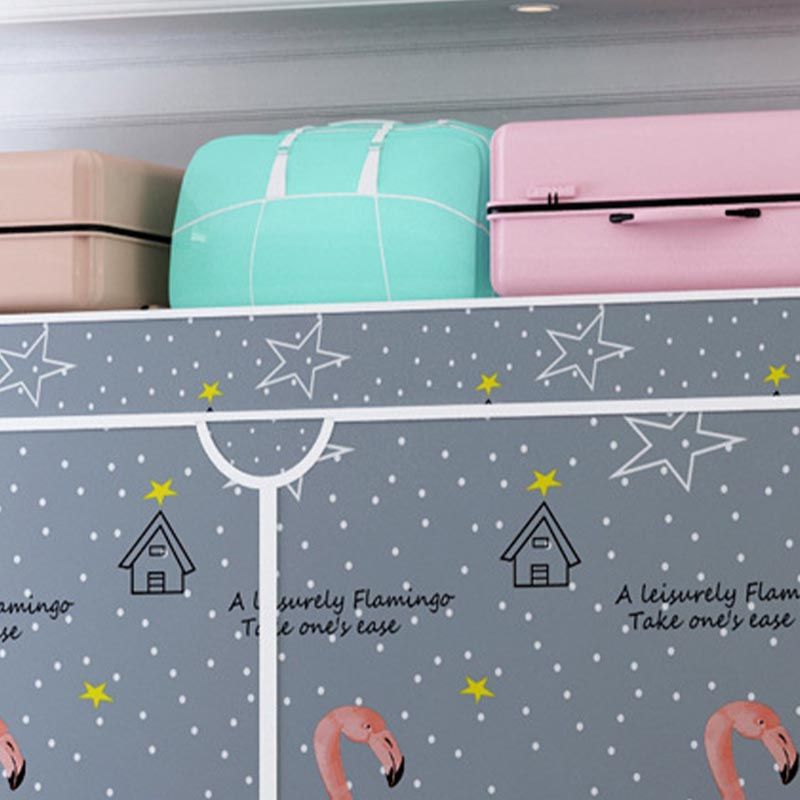 Matte Finish Wardrobe for Home Contemporary Storage Cabinet with Metal Legs