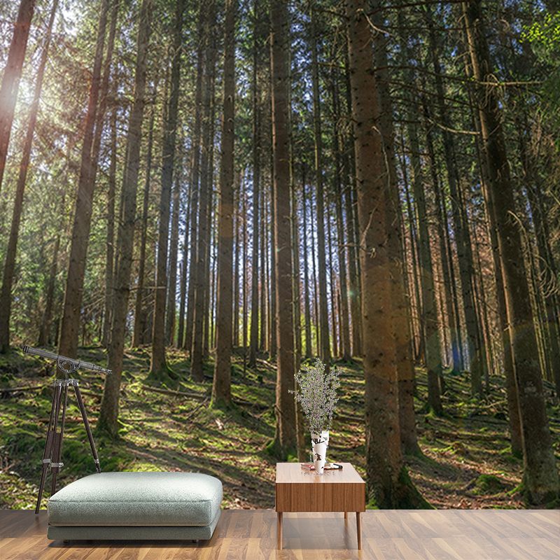 Forest Mural Mildew Resistant Contemporary Photography Sitting Room Wall Mural