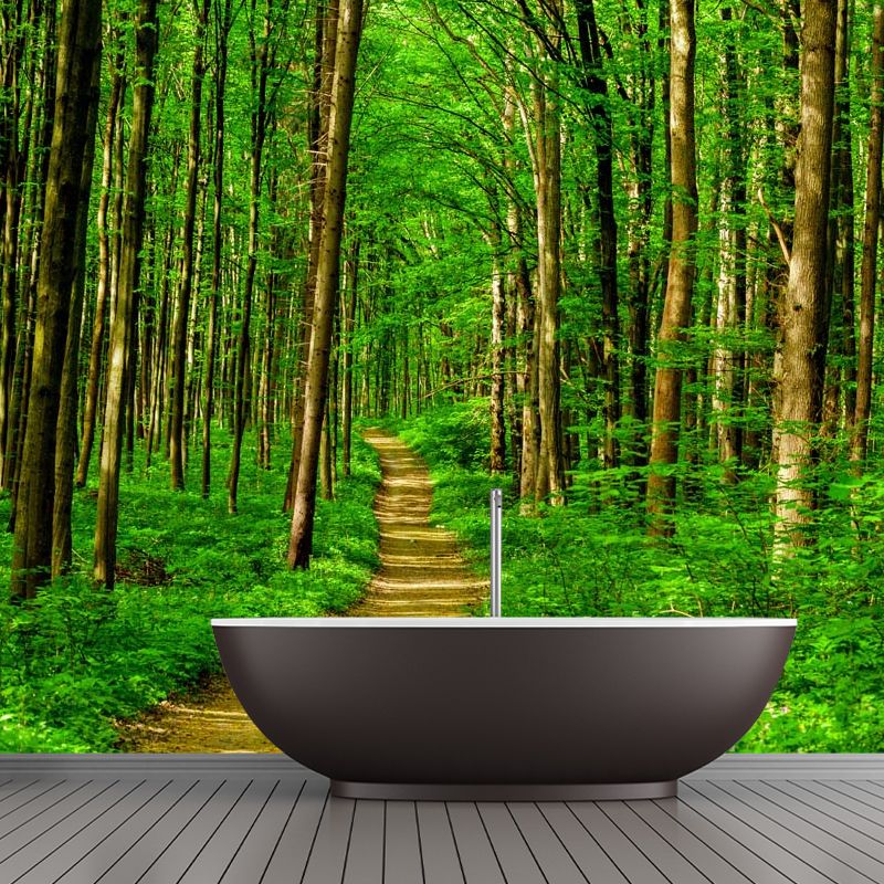 Extra Large Nordic Wall Mural in Green Jungle and Path Wall Covering, Made to Measure