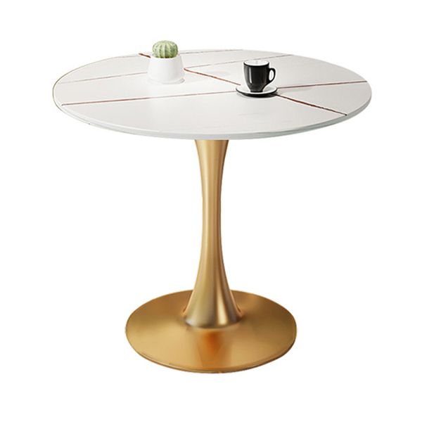 Moderne stijl ronde eettafel gesinterde stenen tafel met tulpbasis voor thuis
