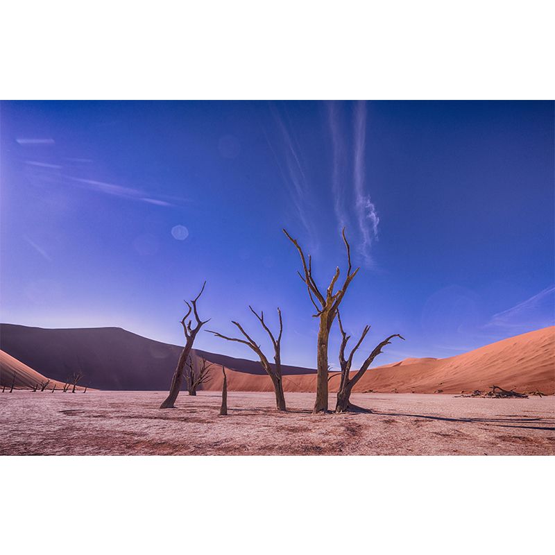 Horizontal Photography Desert Mural Environment Friendly Wallpaper for Wall Decor
