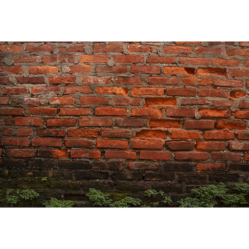 Moisture Resistant Wall Mural Brick Removable Wallpaper for Living Room Decor