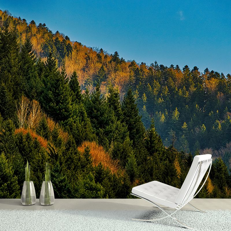 Forest Dense Wallpaper Mural for Bedroom, Water Resistant, Custom Size Available