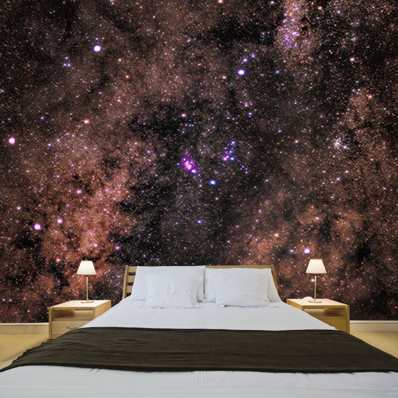 Environmental Photography Mural Wallpaper Cosmos Indoor Wall Mural