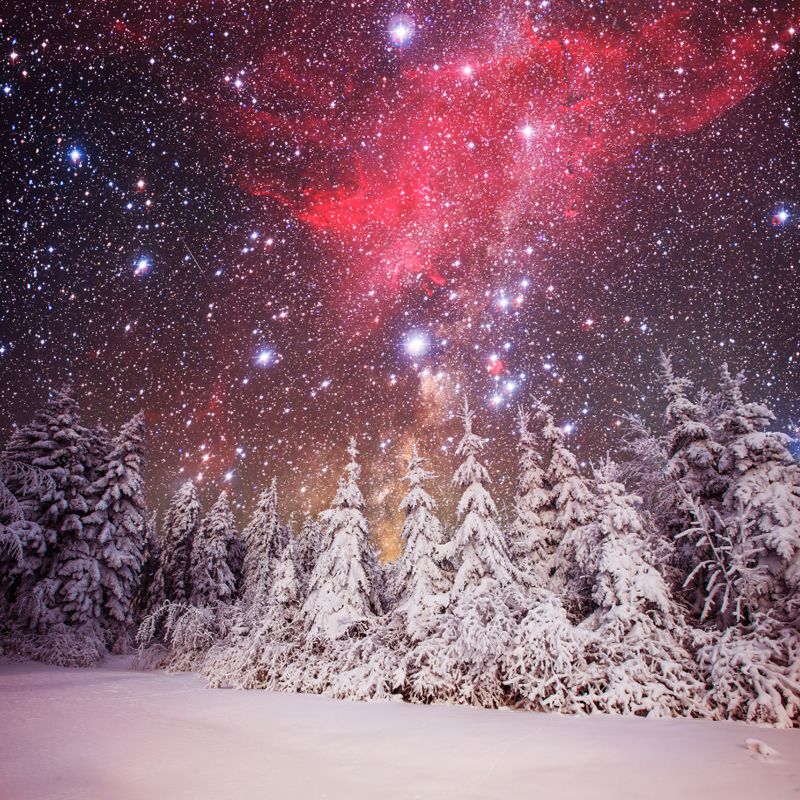 Magic Cypress Starry Night Mural Living Room Snowing Scenery Wall Decor, Custom Printed