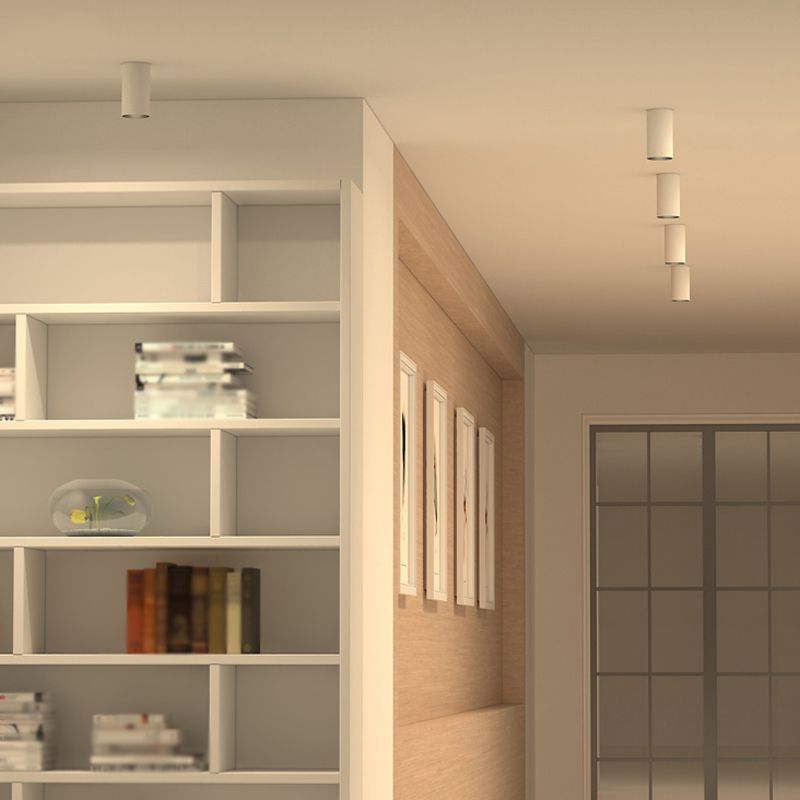 Luminaire de plafond cylindrique en aluminium de forme concise moderne de plafonnier de LED