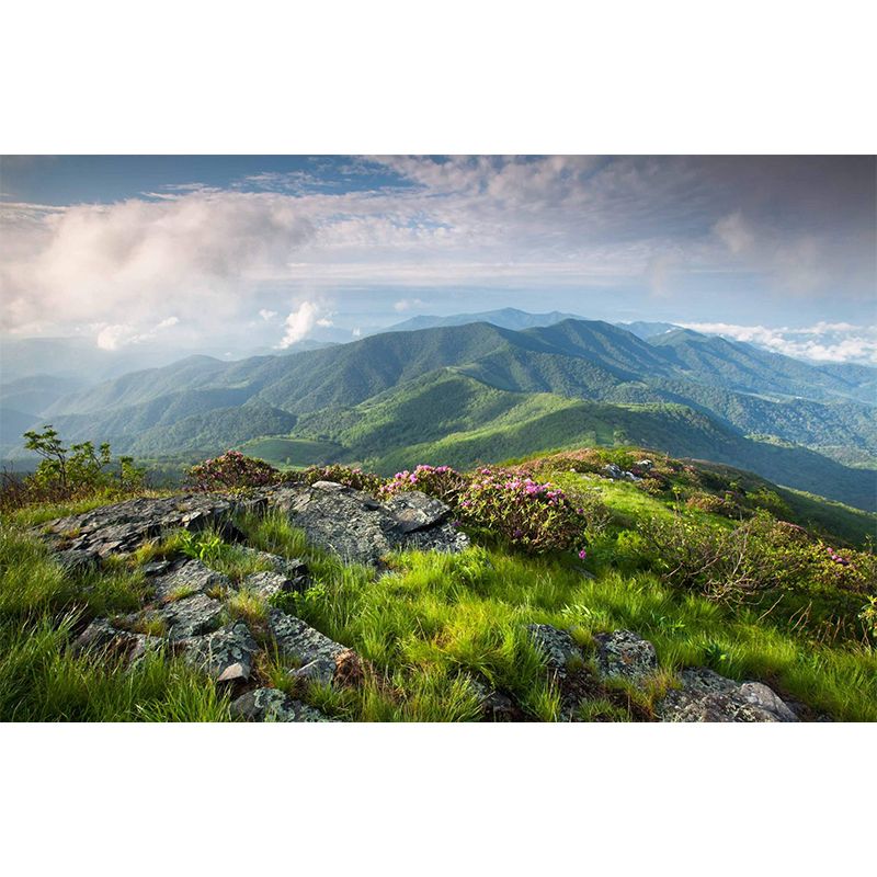 Personalized Photo Print Modern Mural with Spring Scenery at Mountain Peak Pattern in Green