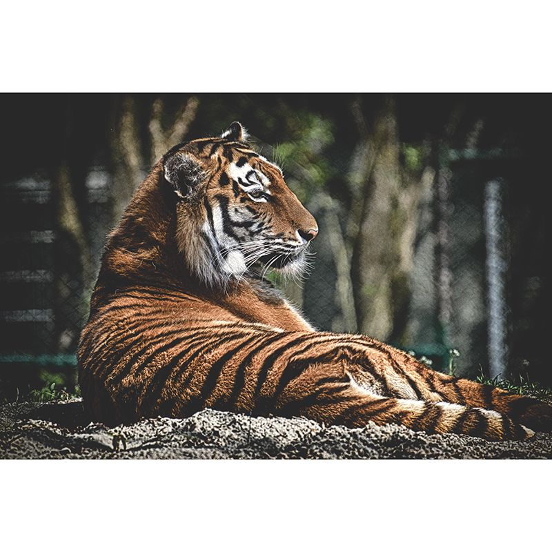 Handsome Tiger Mural Wallpaper Stain Resistant Wall Covering for Living Room