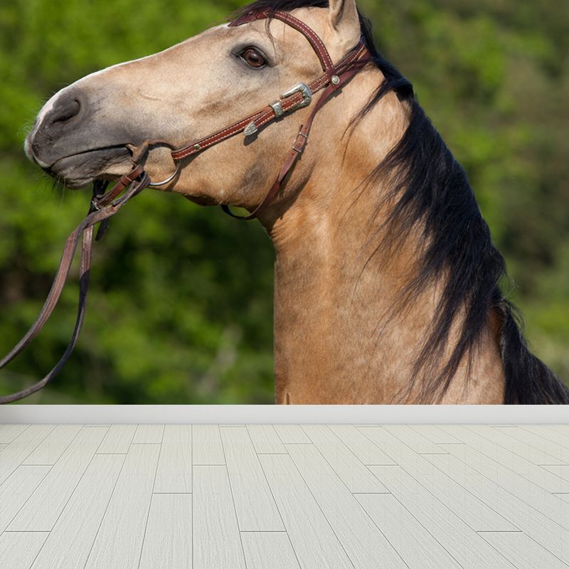 Large Tall Horse Mural Decal Contemporary Tameable Animals Wall Covering in Brown