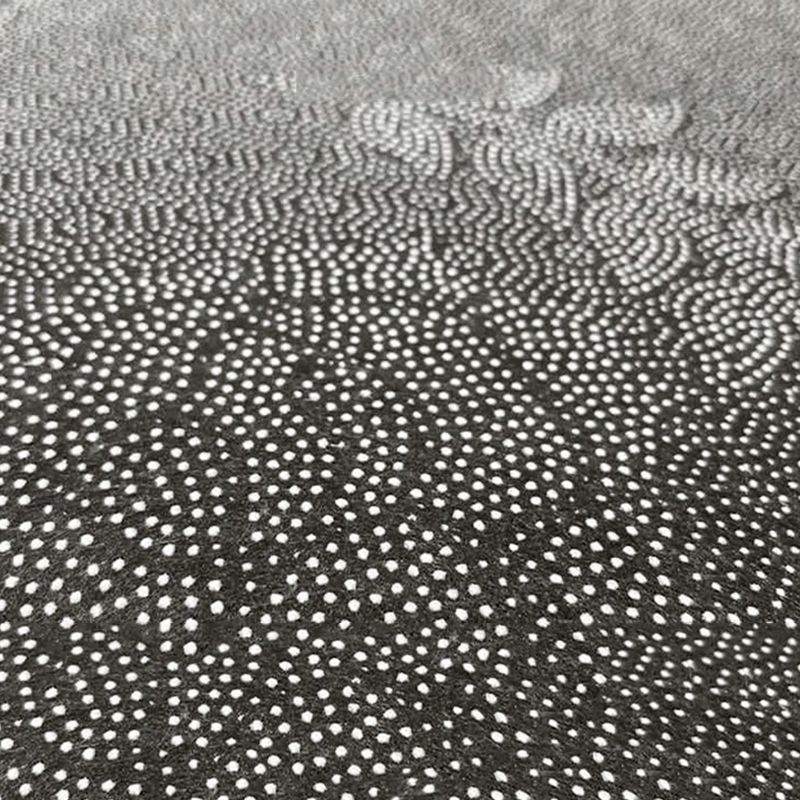 Tapis gris moderne polyester tapis lavable simple pour le salon