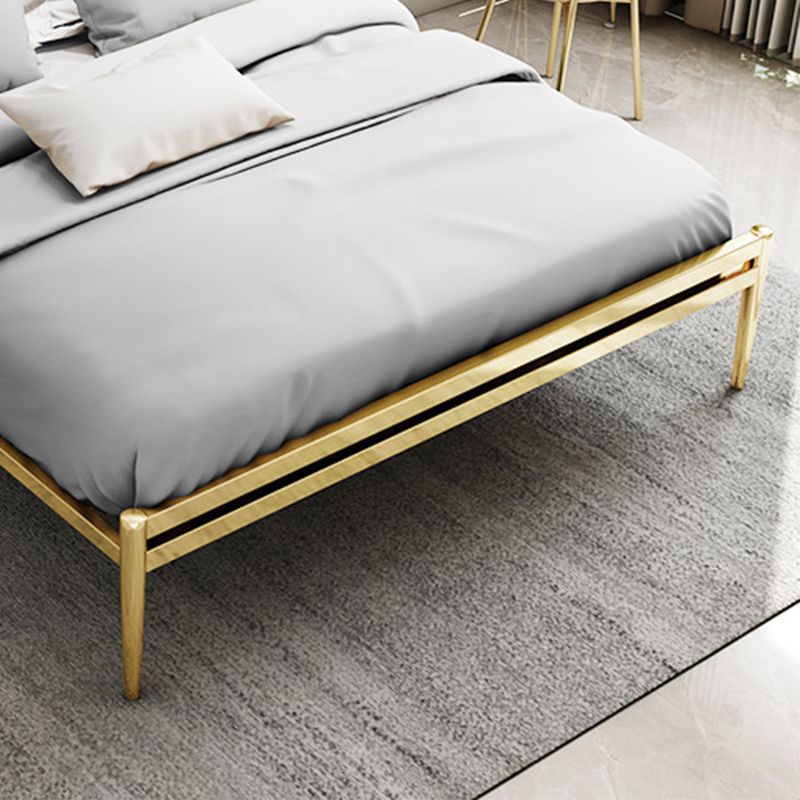 Metal Open-Frame Bed Contemporary Standard Bed with Custom Gold Legs
