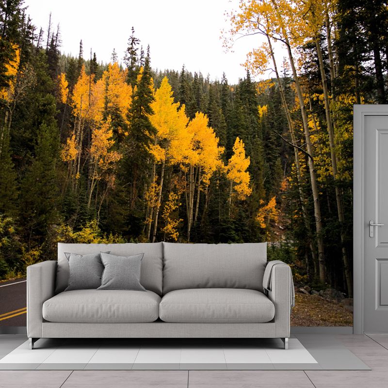 Customized Road Wall Mural Environment Friendly Wallpaper for Guest Room Decoration