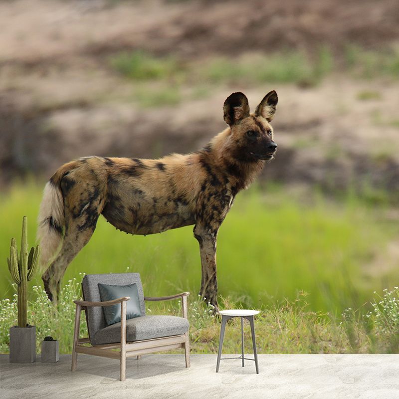 Contemporary Style Hyena Mural Eco-friendly Wallpaper Wall Covering for Sitting Room