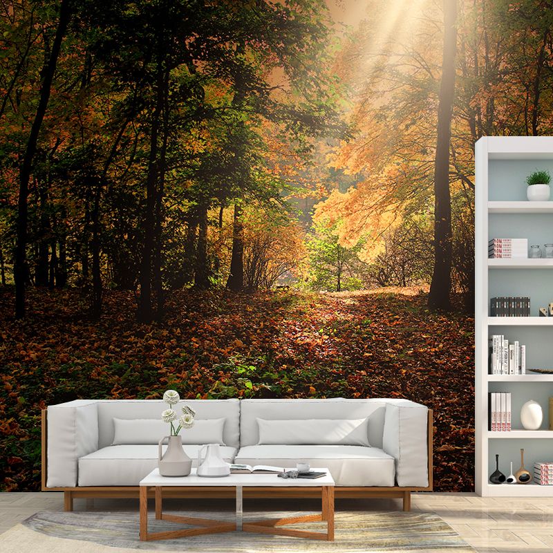 Forest Landscape Mural Wallpaper Home Decor Personalized Size Mural Wallpaper for Dining Room