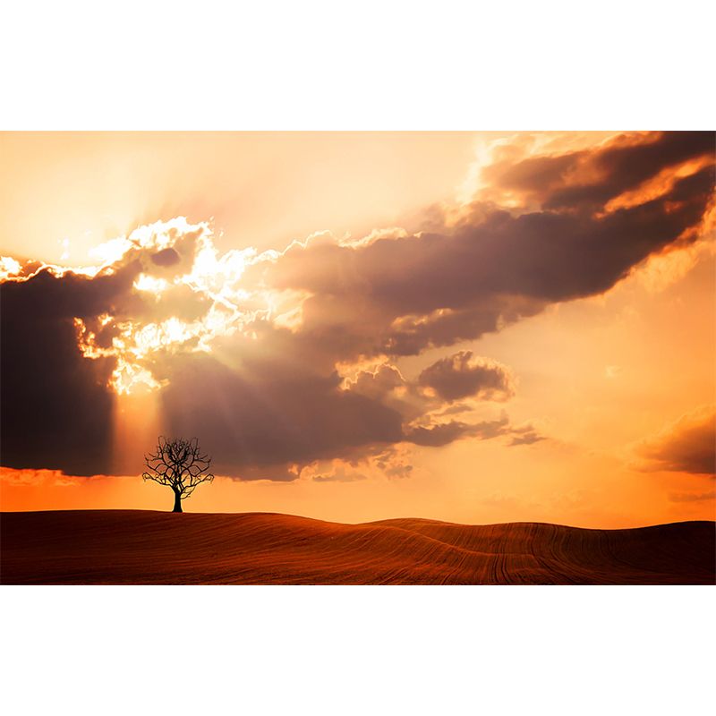 Eco-friendly Photography Wall Mural Wallpaper Sky Decoration Sitting Room Wall Mural