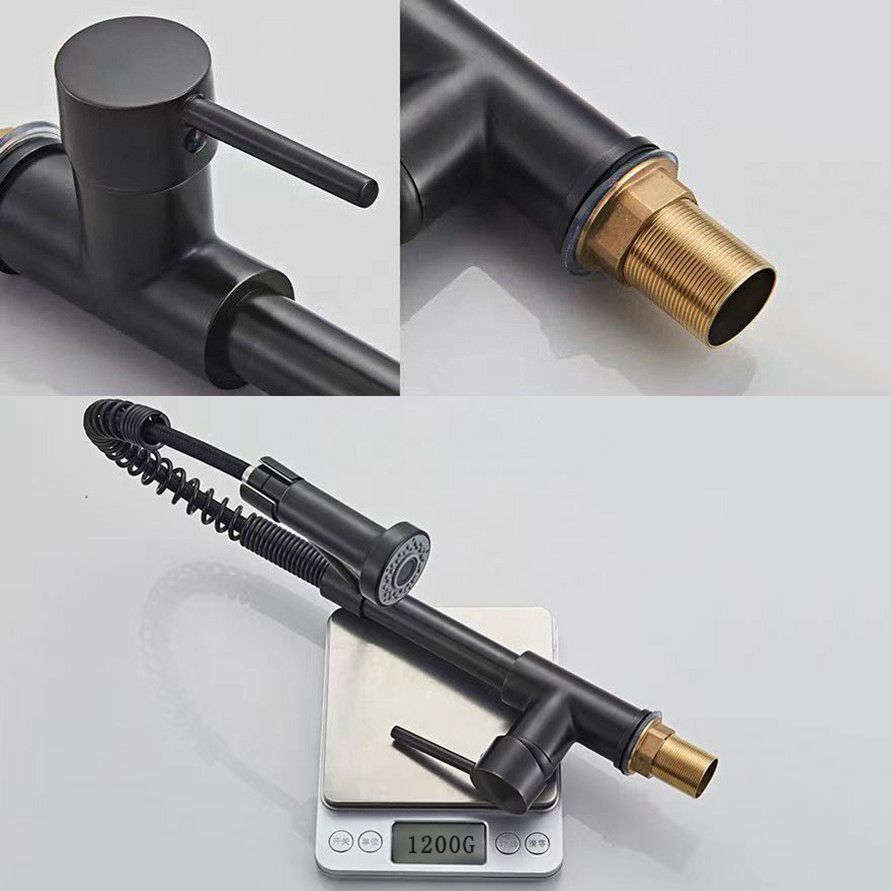 Modern 1-Handle Faucet Spring Spout with Water Dispenser Standard Kitchen Faucet