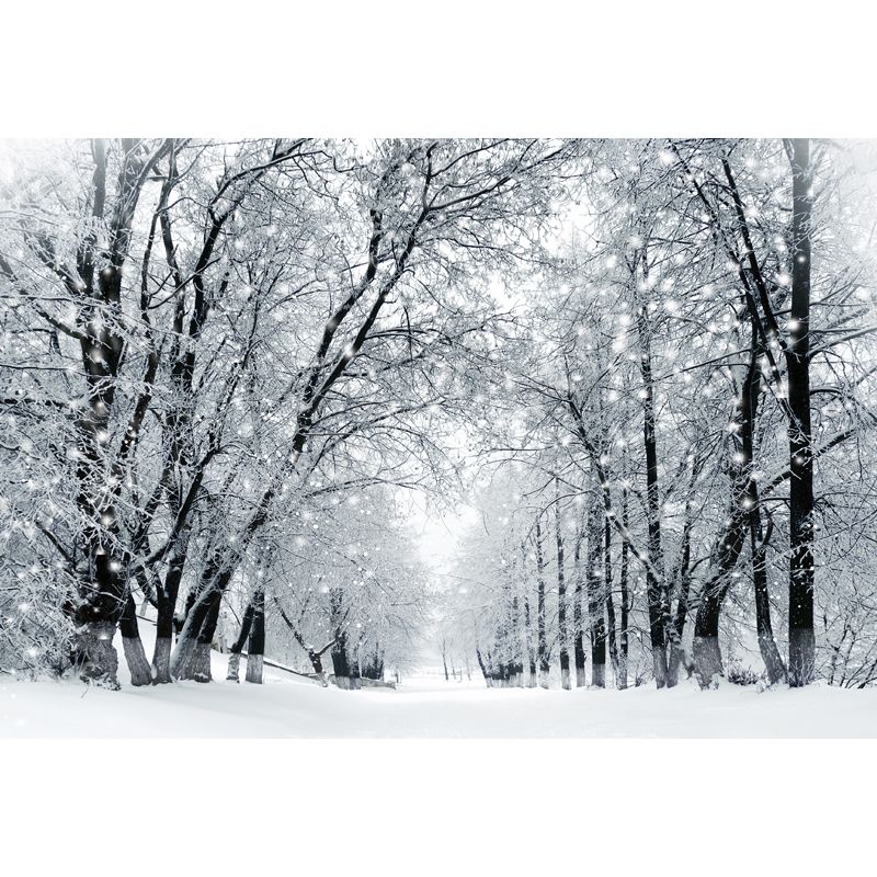Whole Snowy Empty Street Mural in White Non-Woven Wall Art, Waterproof, Custom Size