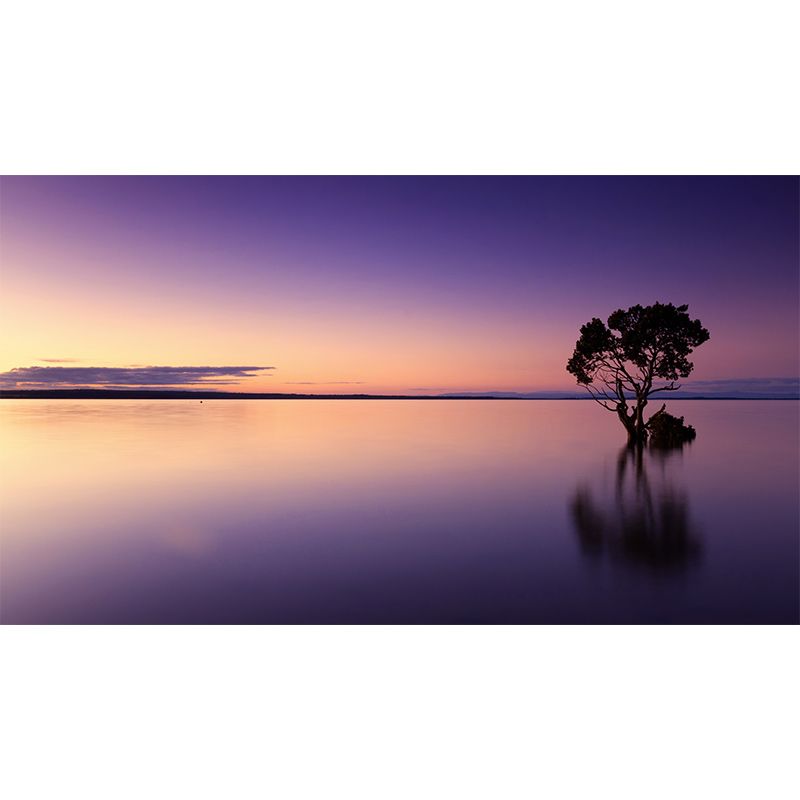 Photography Beautiful Sky Mural Mildew Resistant Wallpaper Sleeping Room Wall Mural